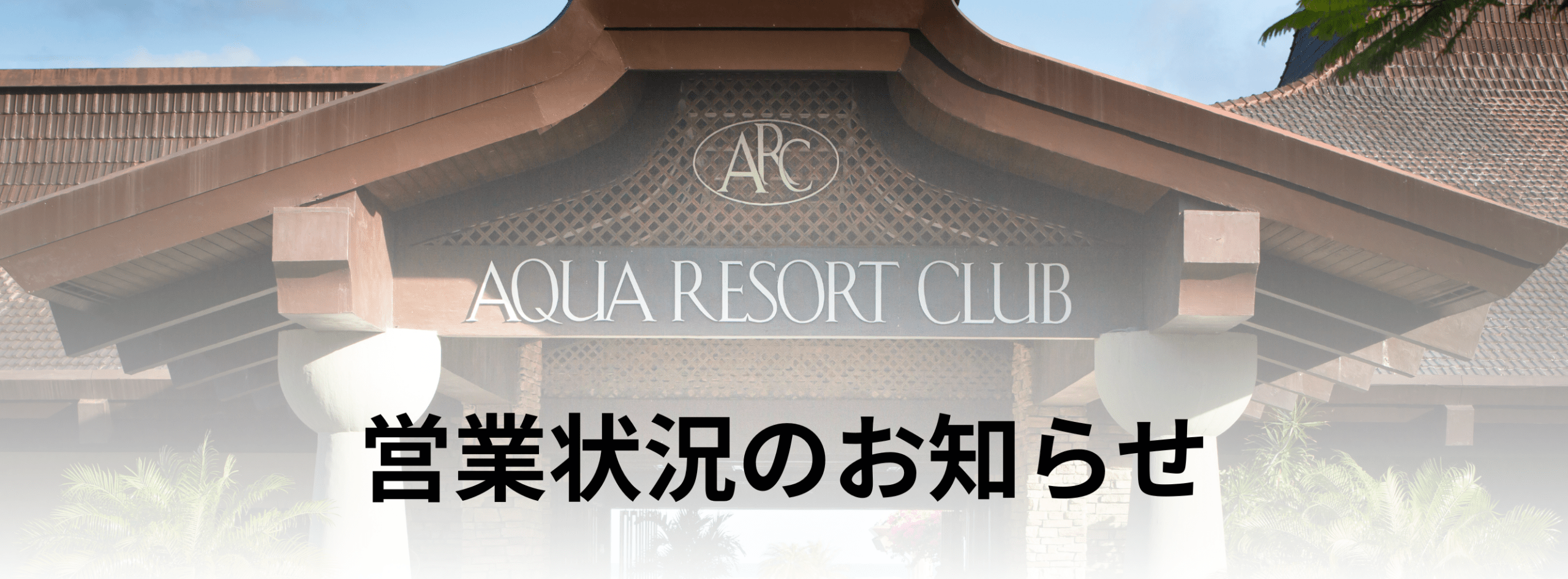 Webpage Popups (10)